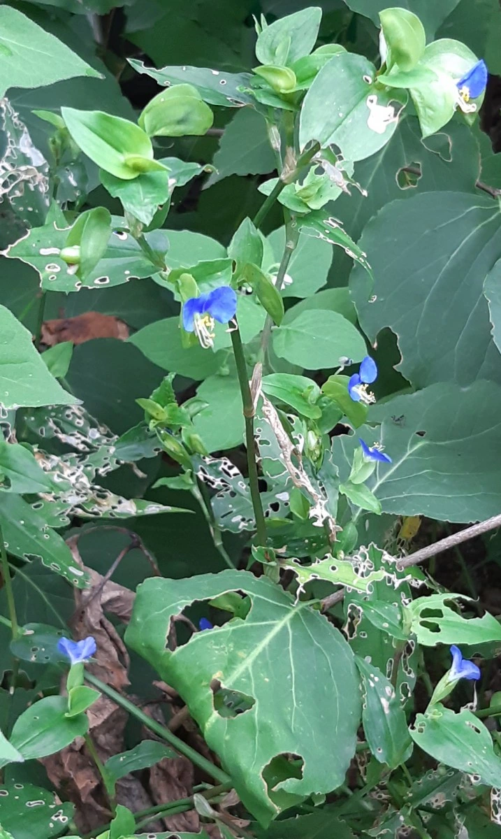 SE-c07ee699-0884-11ec-b962-4b96b1ae9749.jpg?type=w1