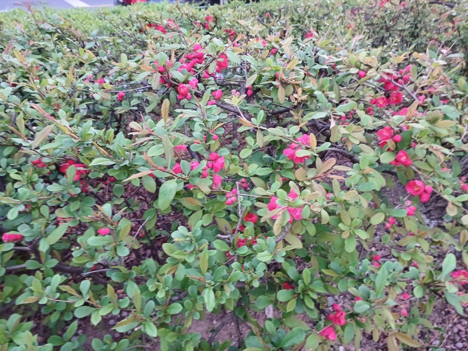 20230402_070500.jpg?type=w1