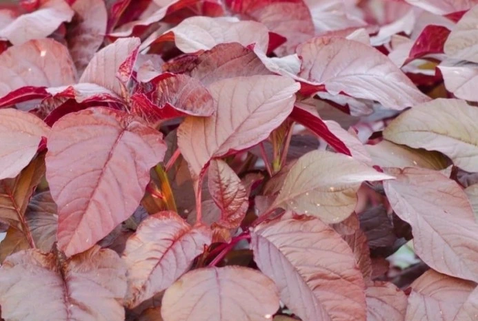 %EB%8B%A4%EC%9A%B4%EB%A1%9C%EB%93%9C_(2).jpg?type=w1