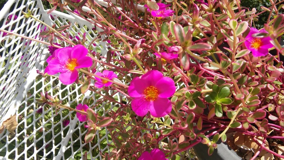 %EC%B1%84%EC%86%A1%EC%95%84_(2).jpg?type=w1