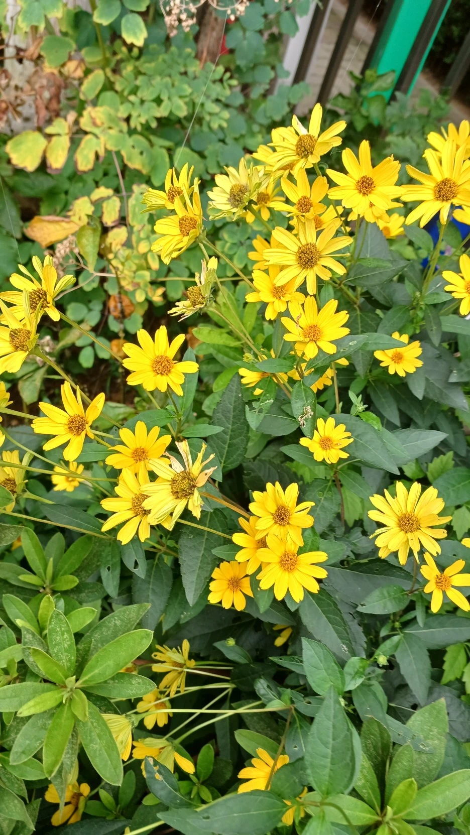 20220818_152928.jpg?type=w1