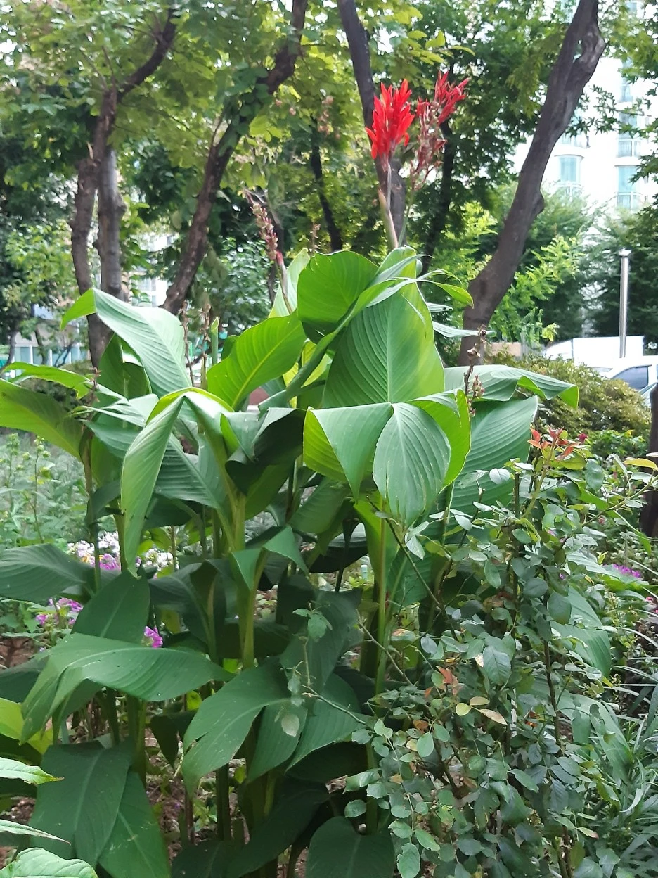 20200831_064145.jpg?type=w1