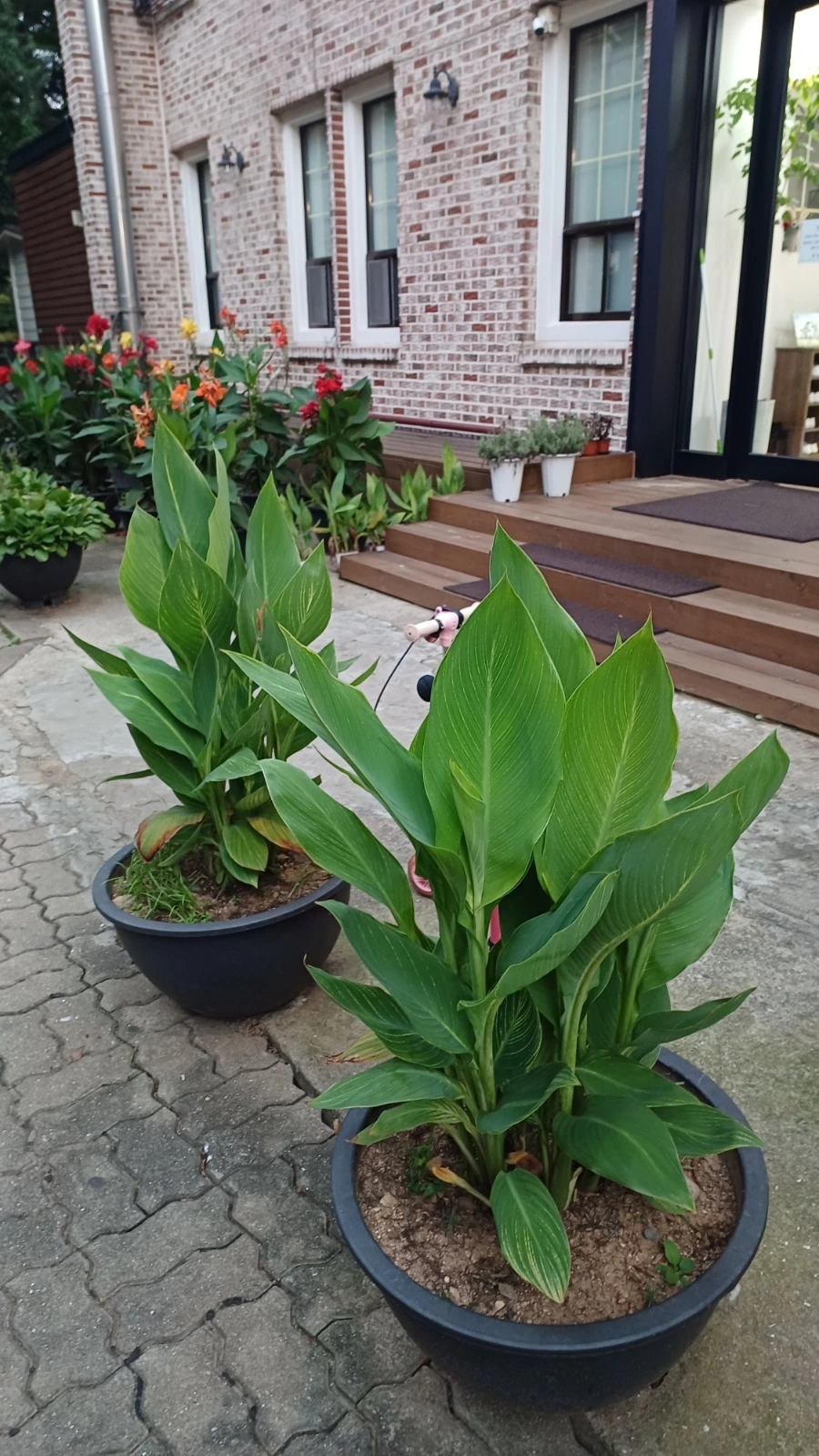 20220817%EF%BC%BF192632.jpg?type=w1