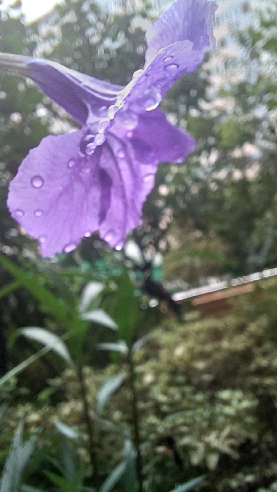 20220813_163504.jpg?type=w1