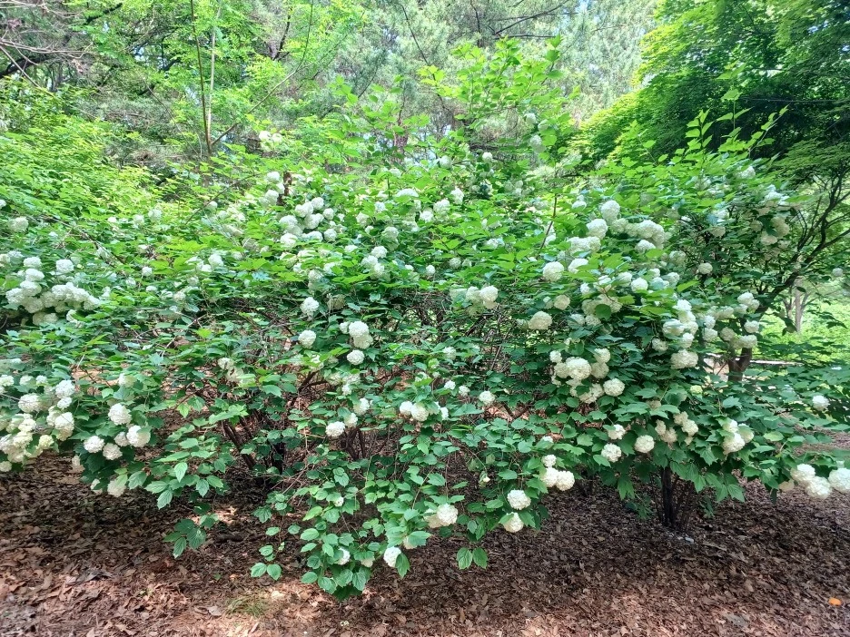 20230514_102557.jpg?type=w1