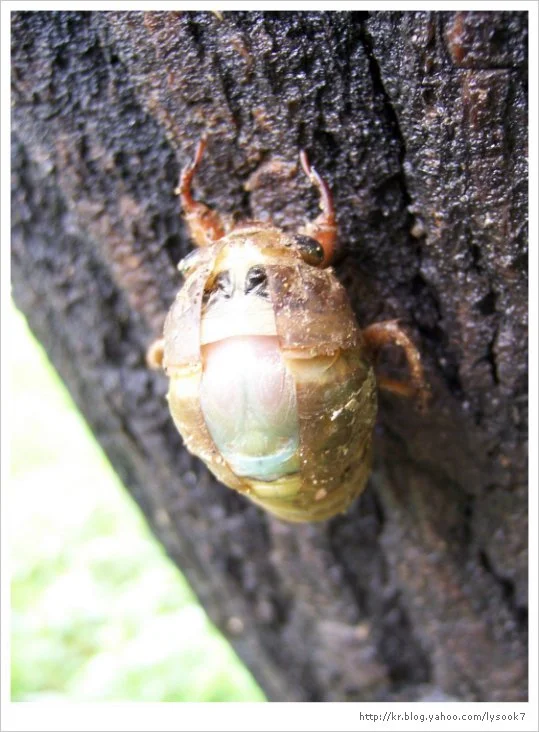 img_33_461_12.jpg?type=w1