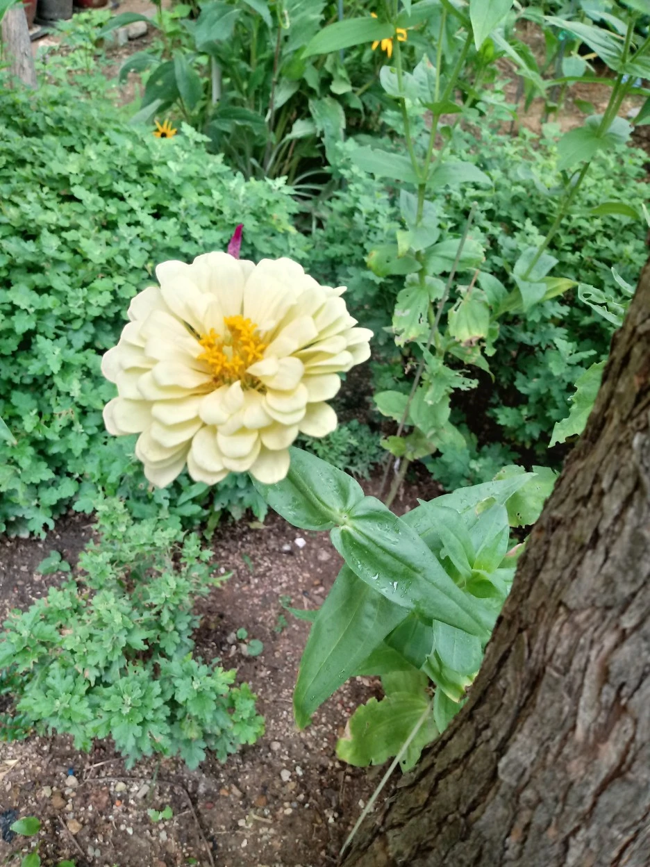 20190815_105525_HDR.jpg?type=w1