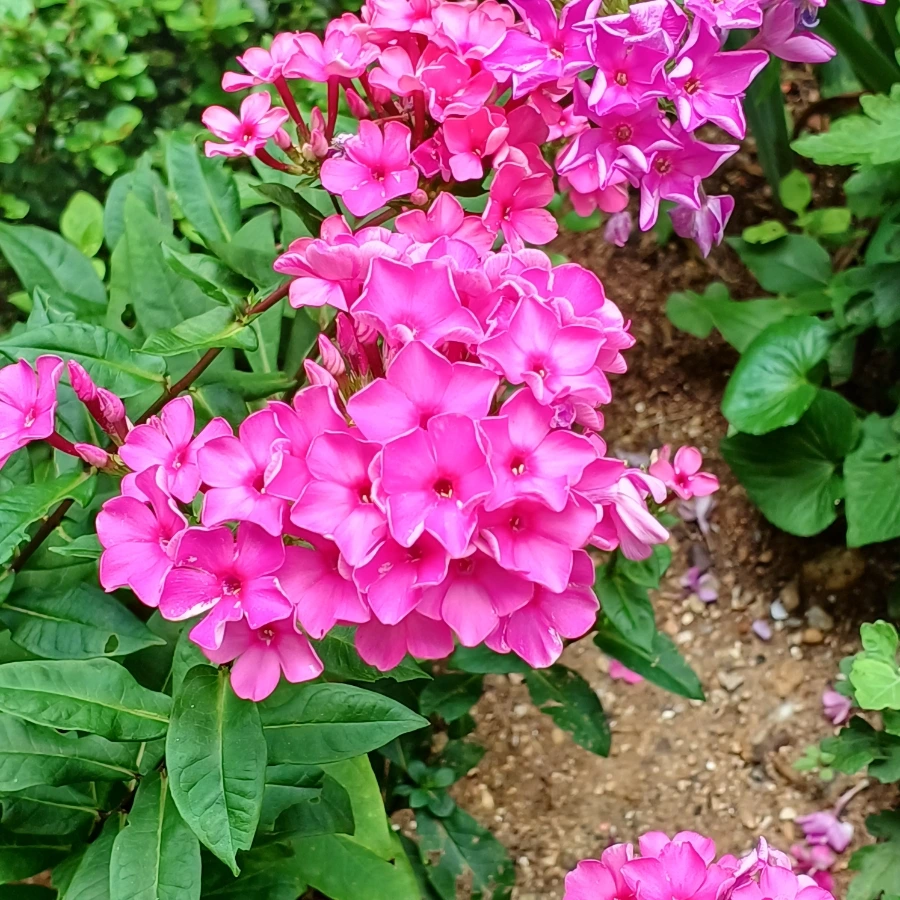 20220705%EF%BC%BF123033.jpg?type=w1