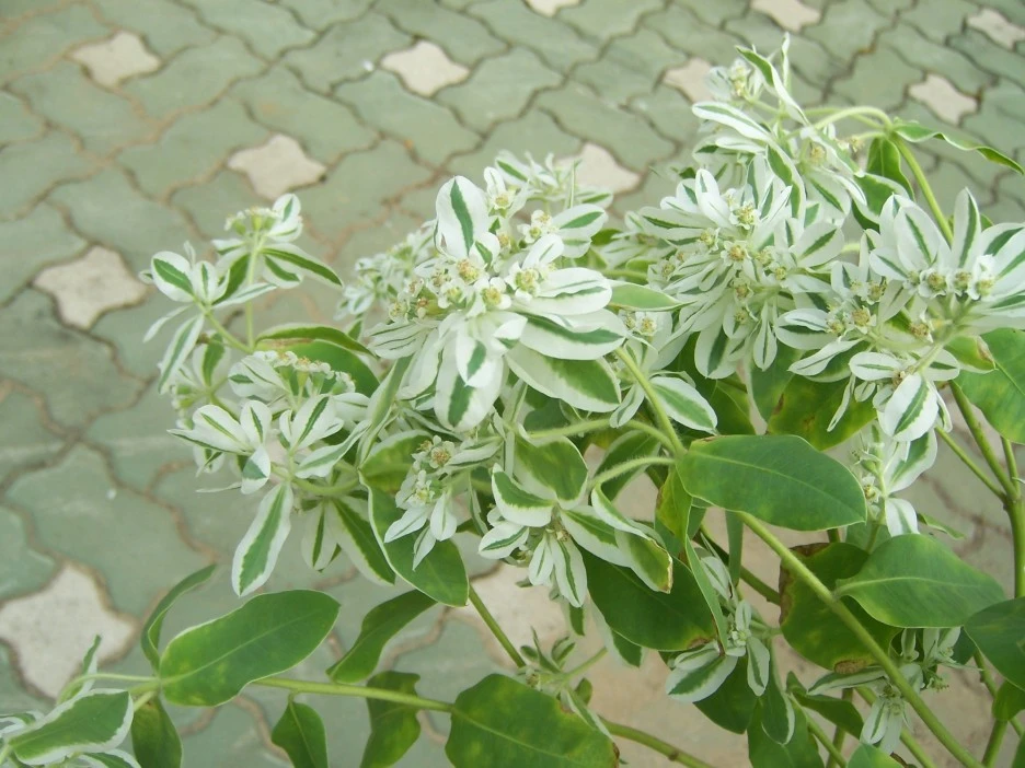 100_7094.jpg?type=w1