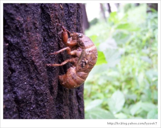 img_33_461_15.jpg?type=w1