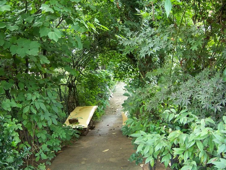 result_2006_7_3_11_44_22_984_13-lysook7.jpg?type=w1