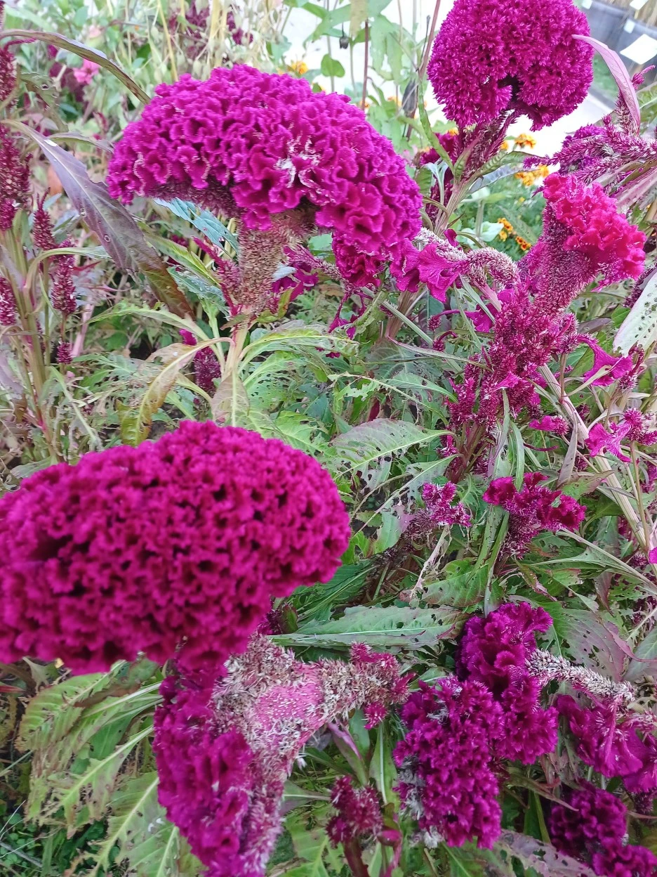 20221007_170858.jpg?type=w1