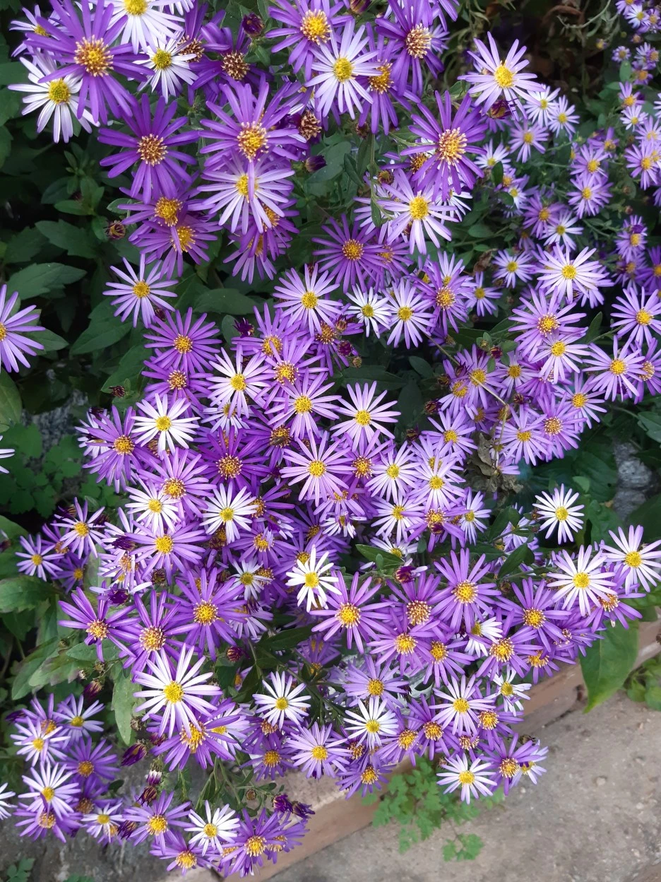 20201020_171246.jpg?type=w1