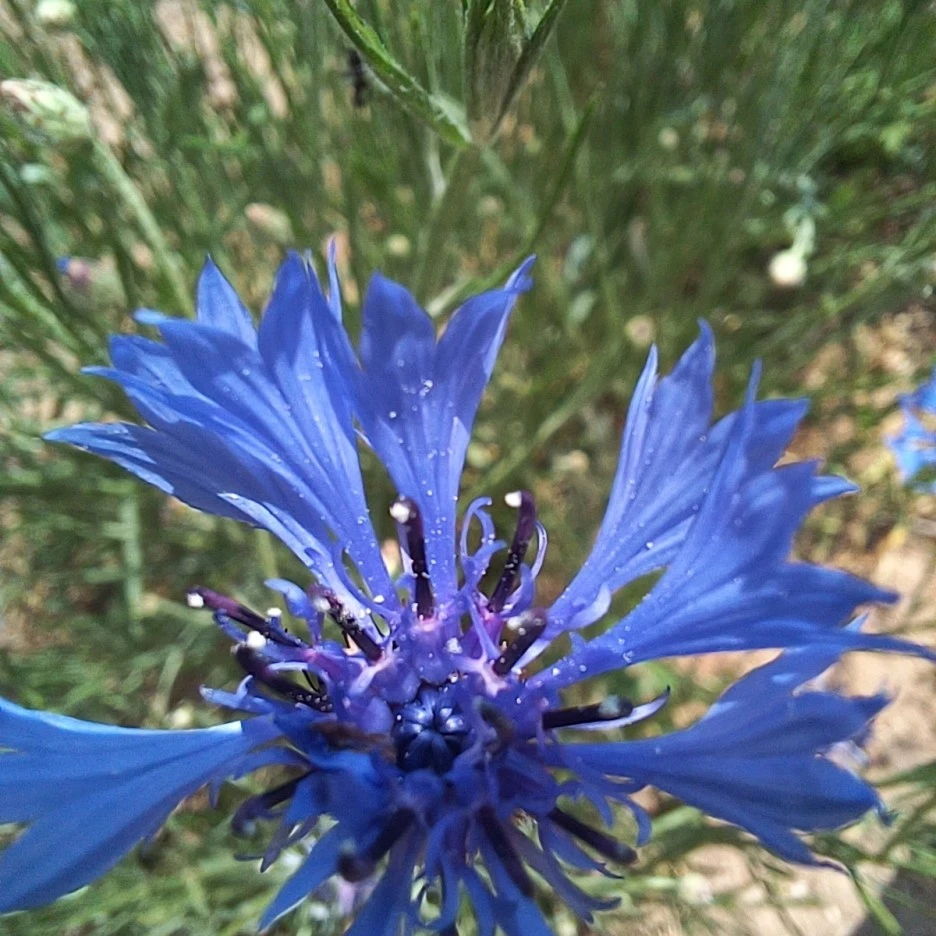 20220516_131558.jpg?type=w1