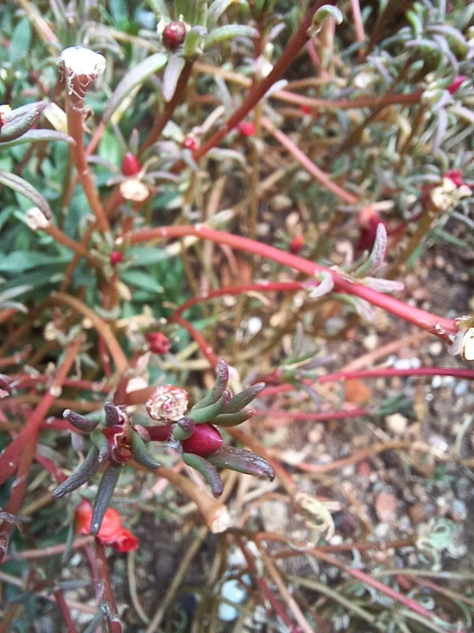 20221015_150429.jpg?type=w1