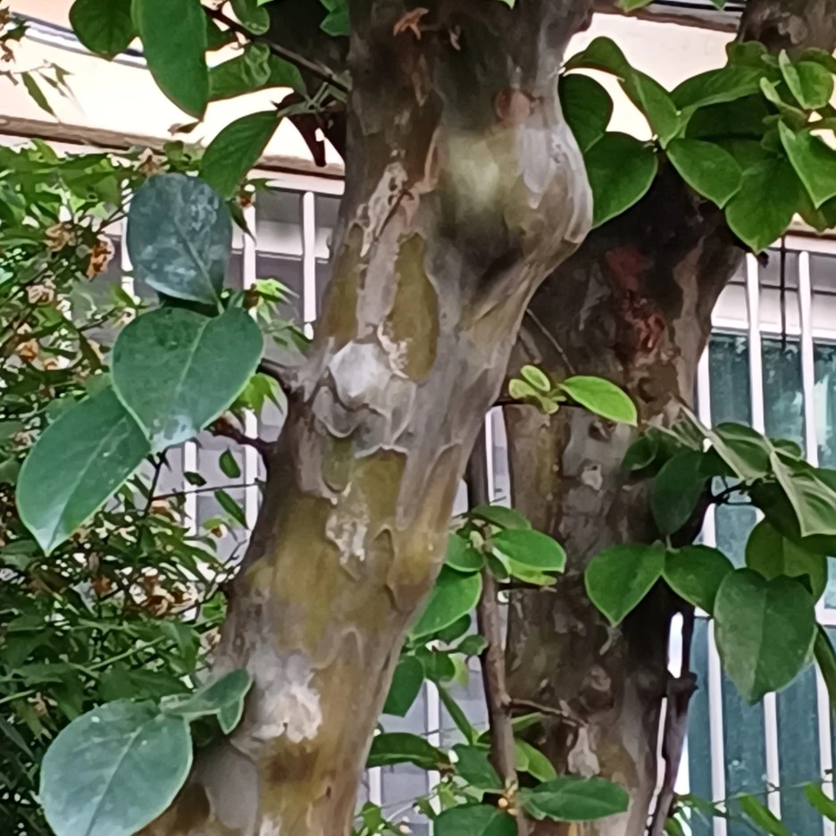 20220601_191655.jpg?type=w1