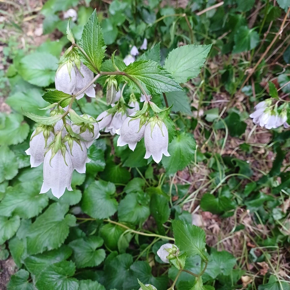 20220529_083113.jpg?type=w1