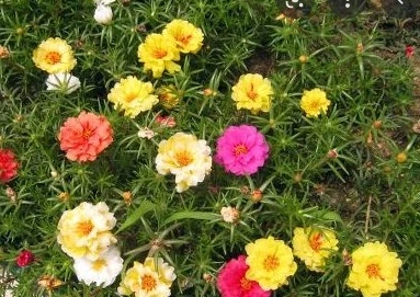 %EC%9B%B9_%EC%BA%A1%EC%B2%98_15-10-2022_145120_www.google.co.kr.jpeg?type=w1