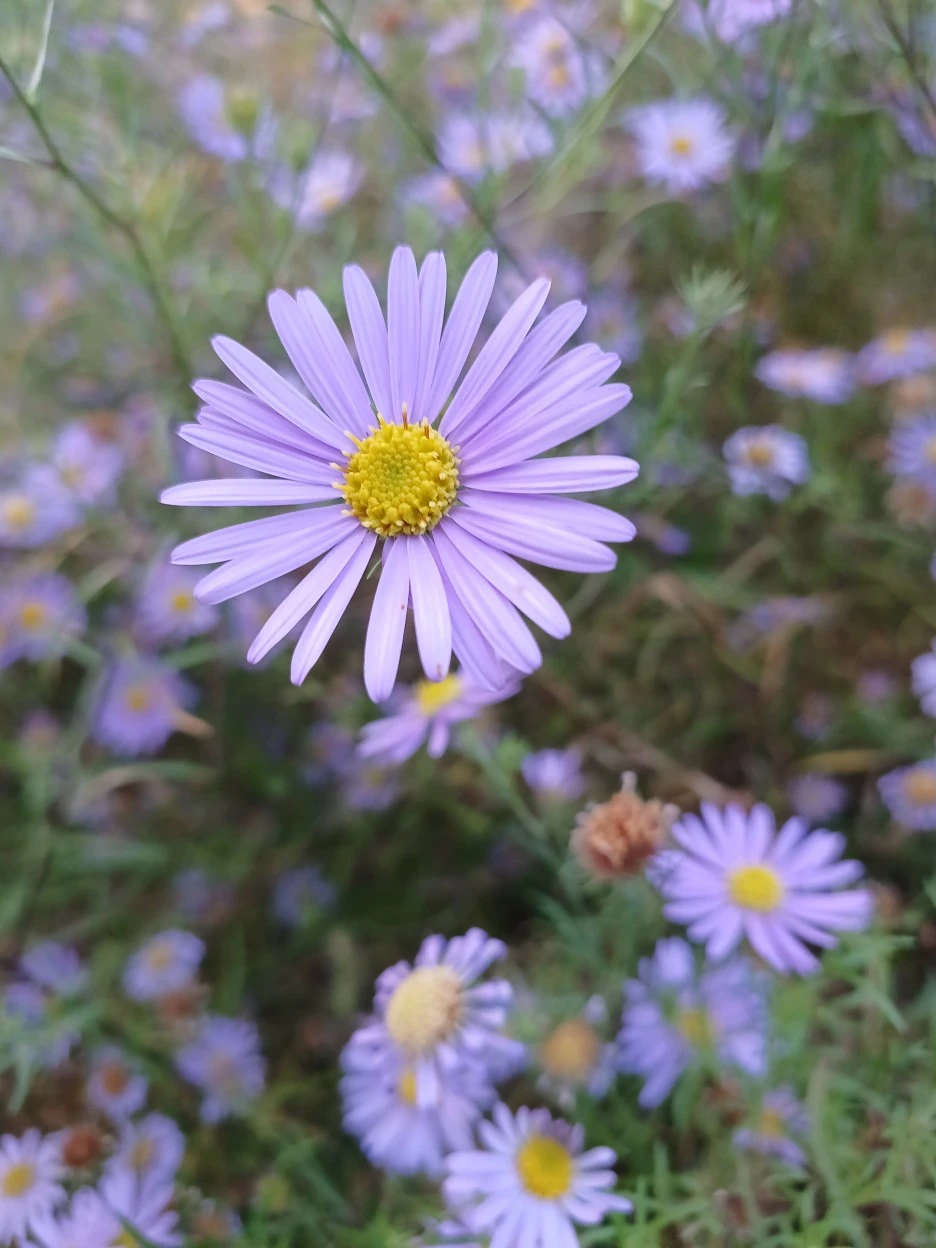 20221023_171744.jpg?type=w1