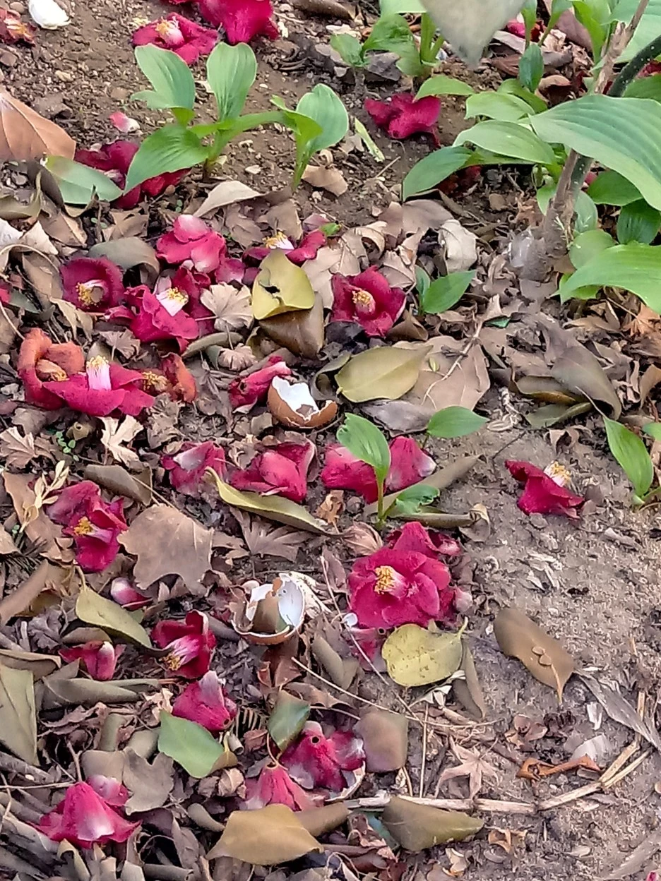 20180417_170019_HDR.jpg?type=w1