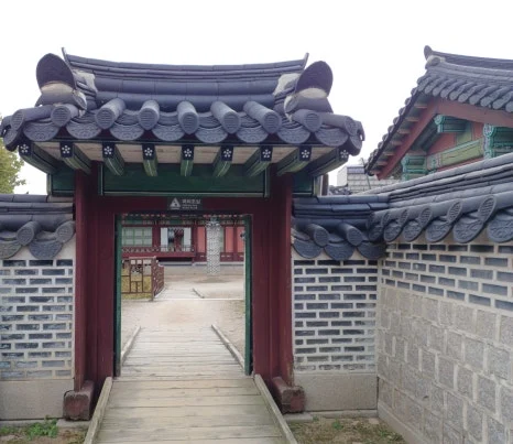 20241009_124324.jpg?type=w466