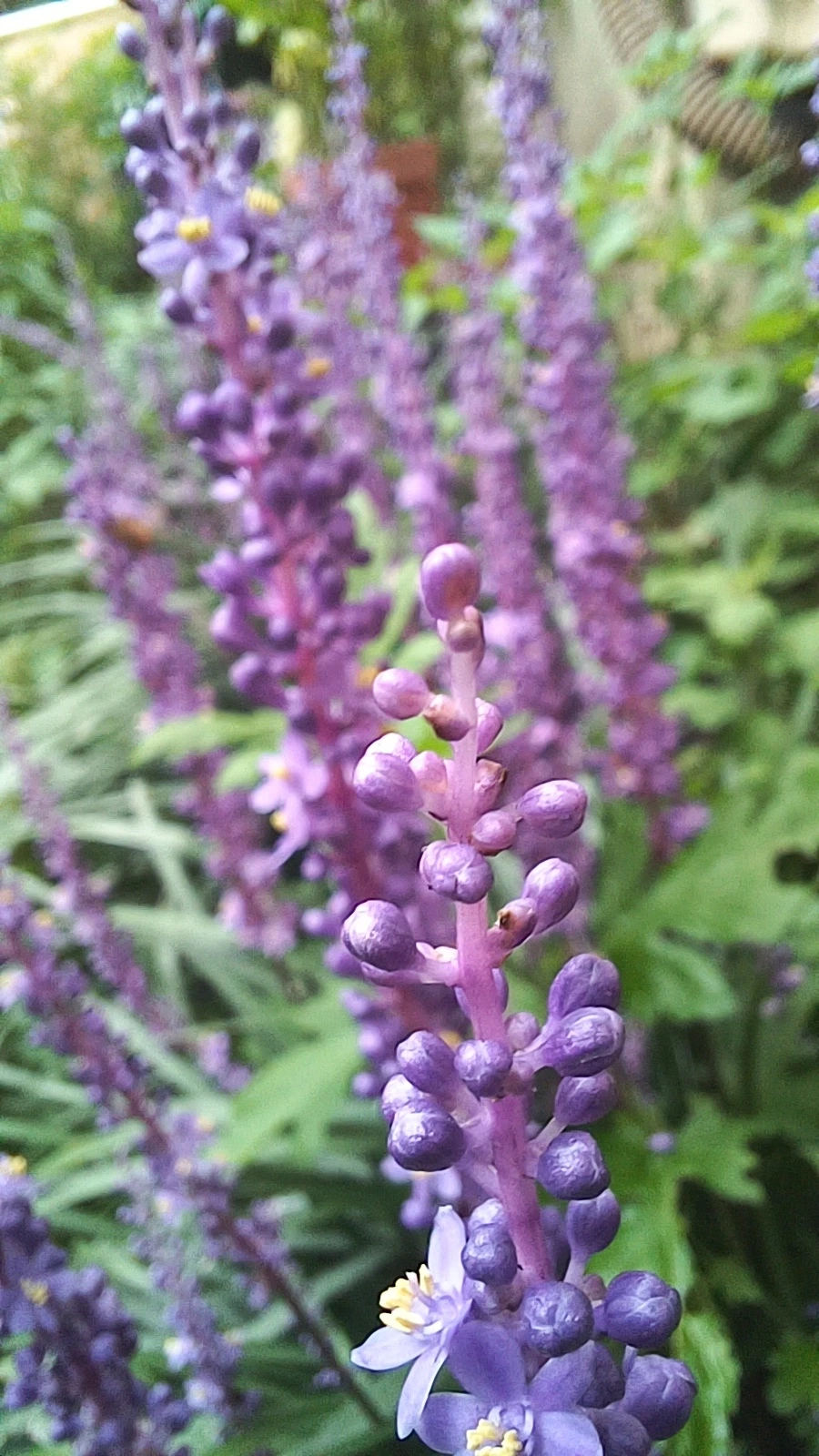 20220813%EF%BC%BF163104.jpg?type=w1