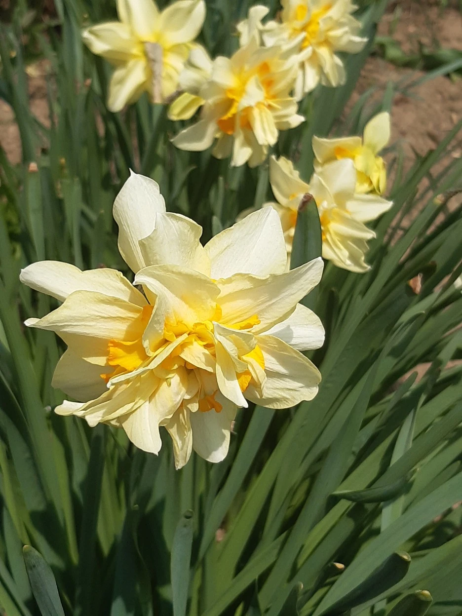 20220409_115222.jpg?type=w1