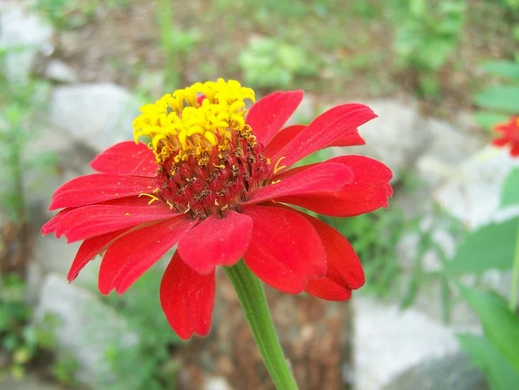 result_2006_7_5_7_11_56_343_16-lysook7.jpg?type=w1