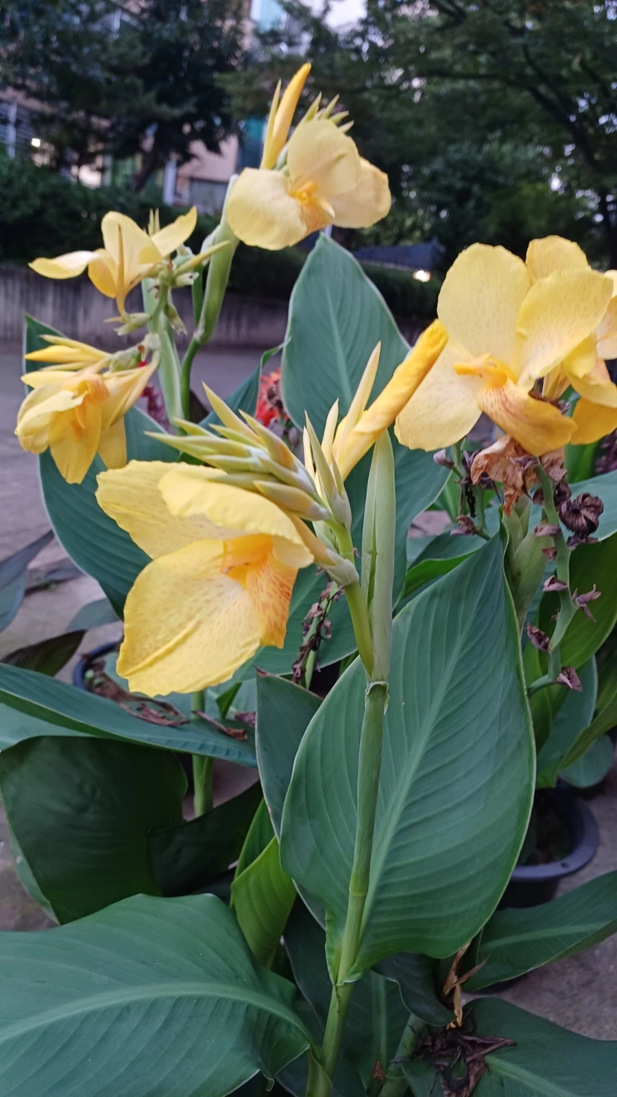 20220817%EF%BC%BF192520.jpg?type=w1