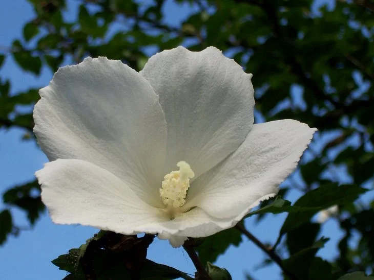 result_2006_7_3_12_8_35_796_12-lysook7.jpg?type=w1