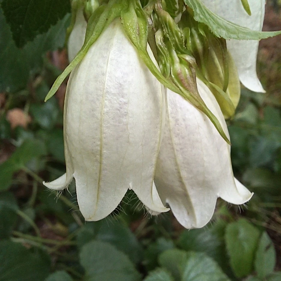 20220529_083141.jpg?type=w1