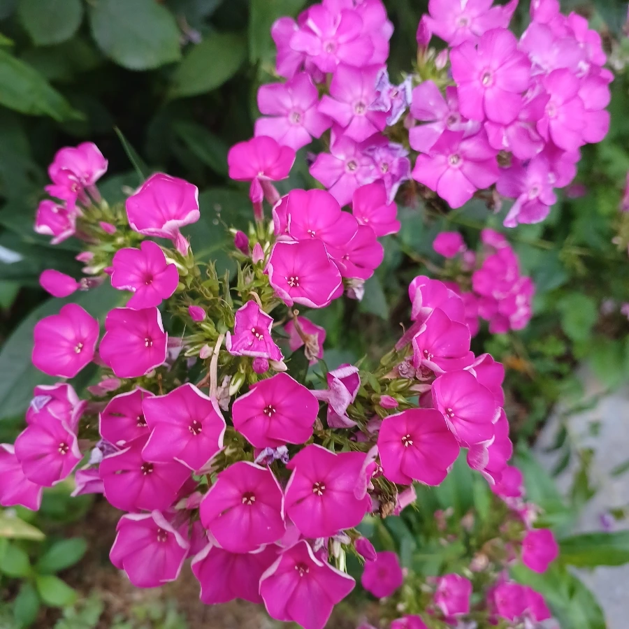 20220719%EF%BC%BF183306.jpg?type=w1