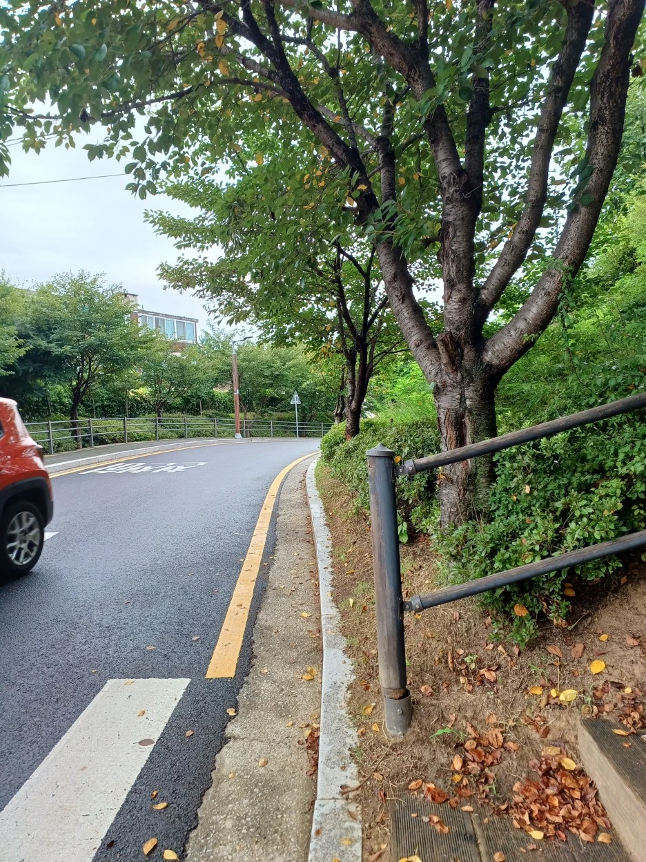 20220829_135418.jpg?type=w1