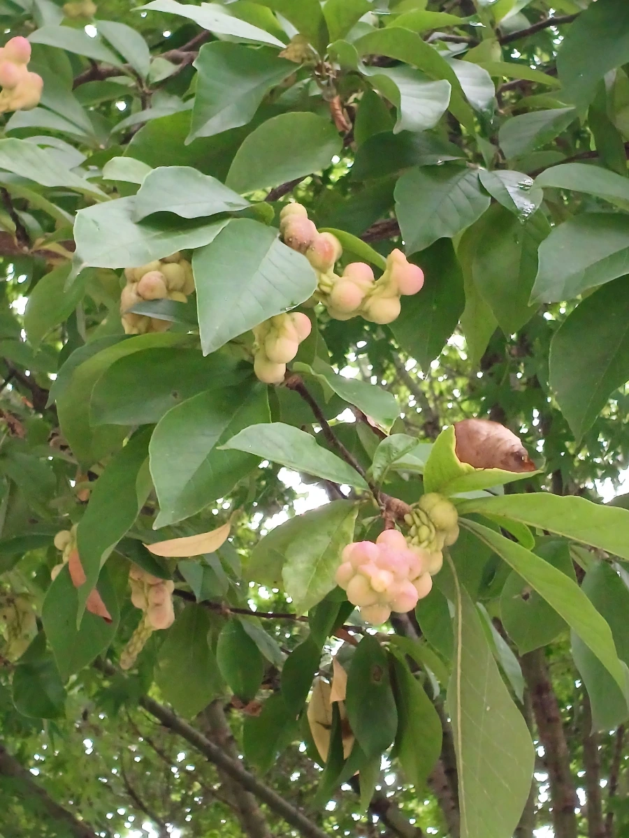 20220829%EF%BC%BF135617.jpg?type=w1