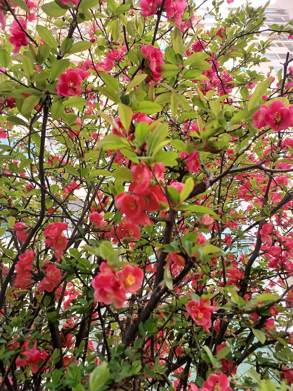 20230402_071626.jpg?type=w1