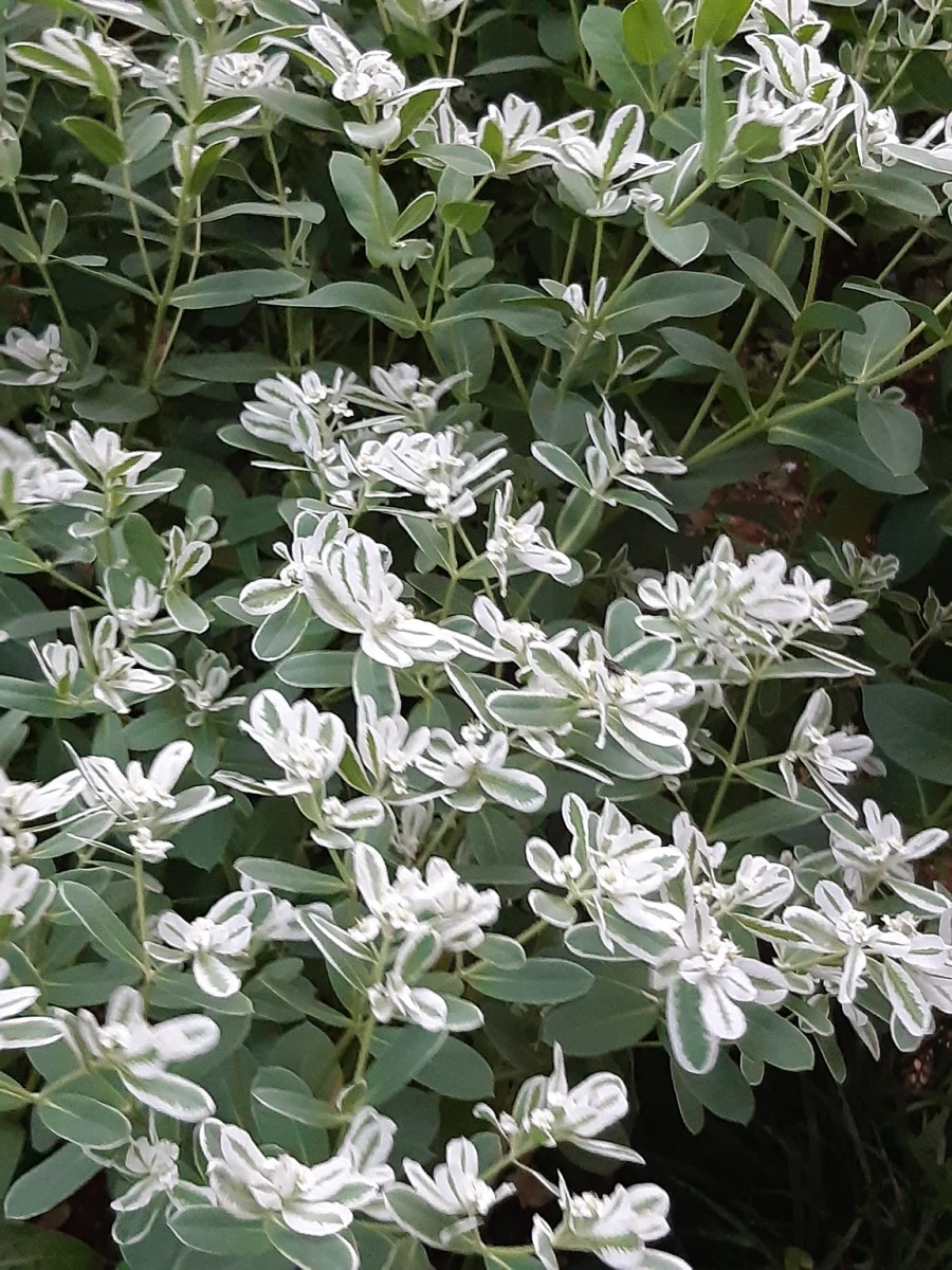 20210819%EF%BC%BF191007.jpg?type=w1