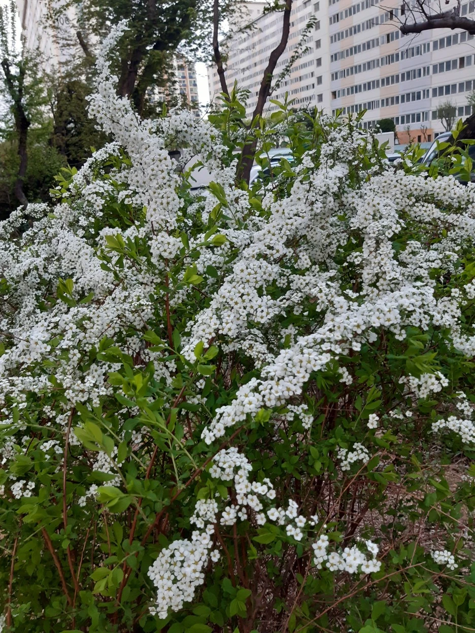 20220414_185539.jpg?type=w1