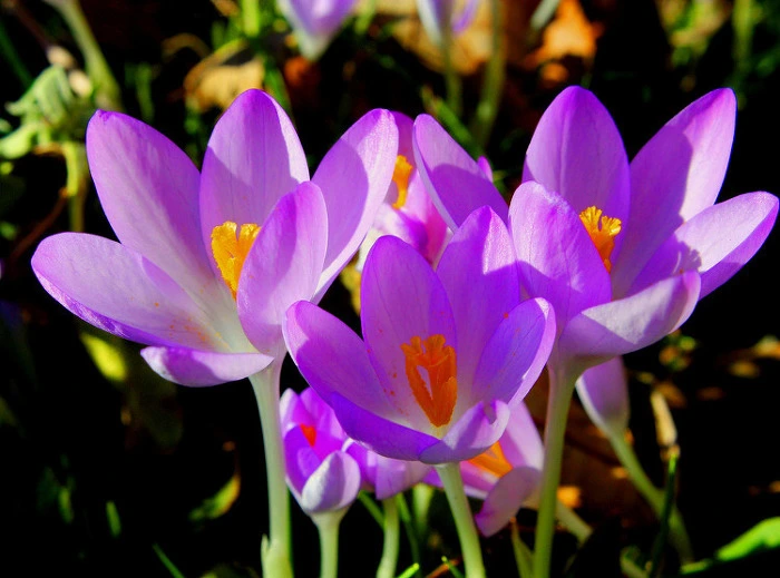 1245816351_200906241309423004233901_0.jpg?type=w1