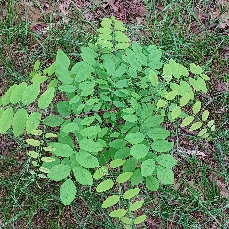 20220508_122906.jpg?typew1