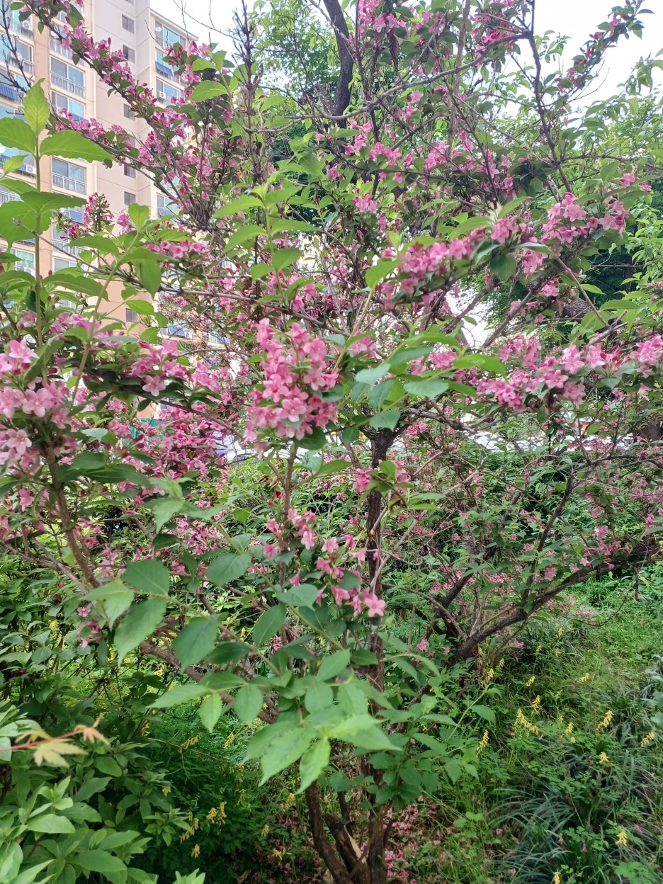 20230507%EF%BC%BF172304.jpg?type=w1