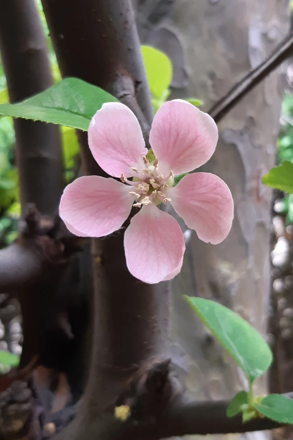 SE-ba8fb687-dec6-43e3-8198-bc7ae0e70b40.jpg?type=w1