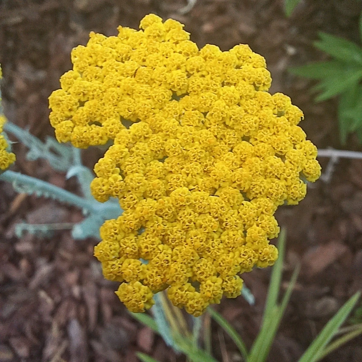 5_4a7Ud018svc17xkzxoopmare_818kqs.jpg?type=e1920_std