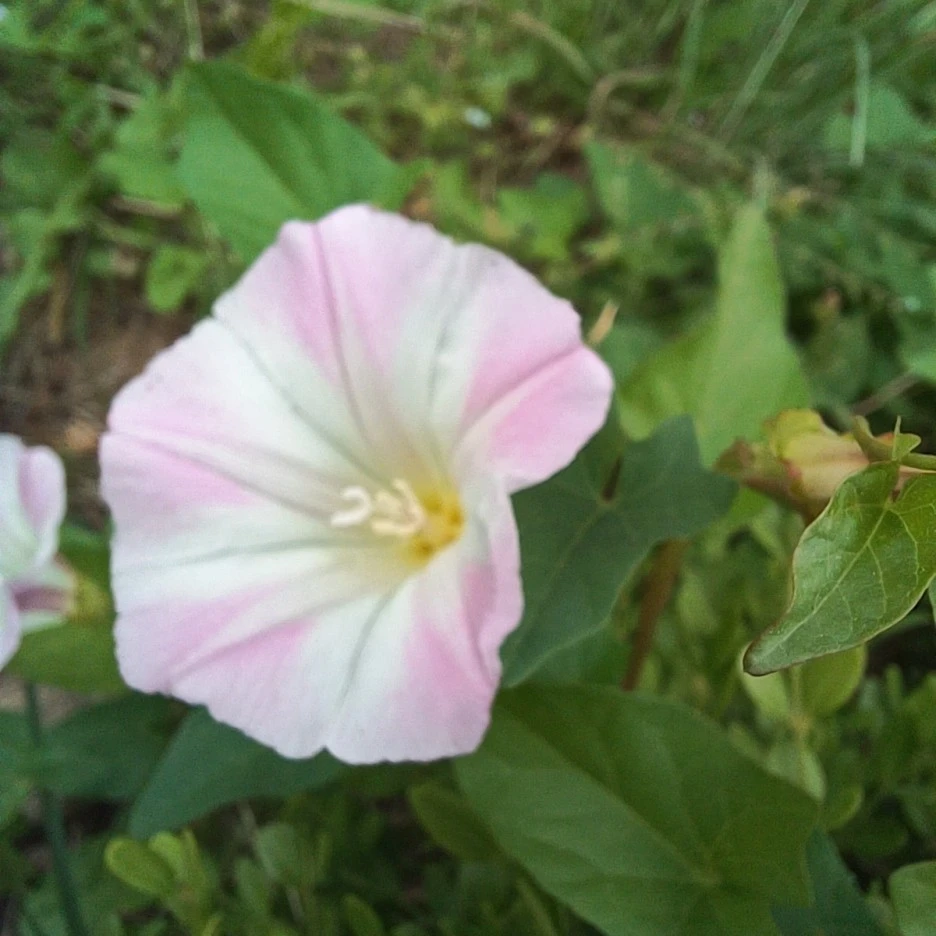 20220514_143301.jpg?type=w1