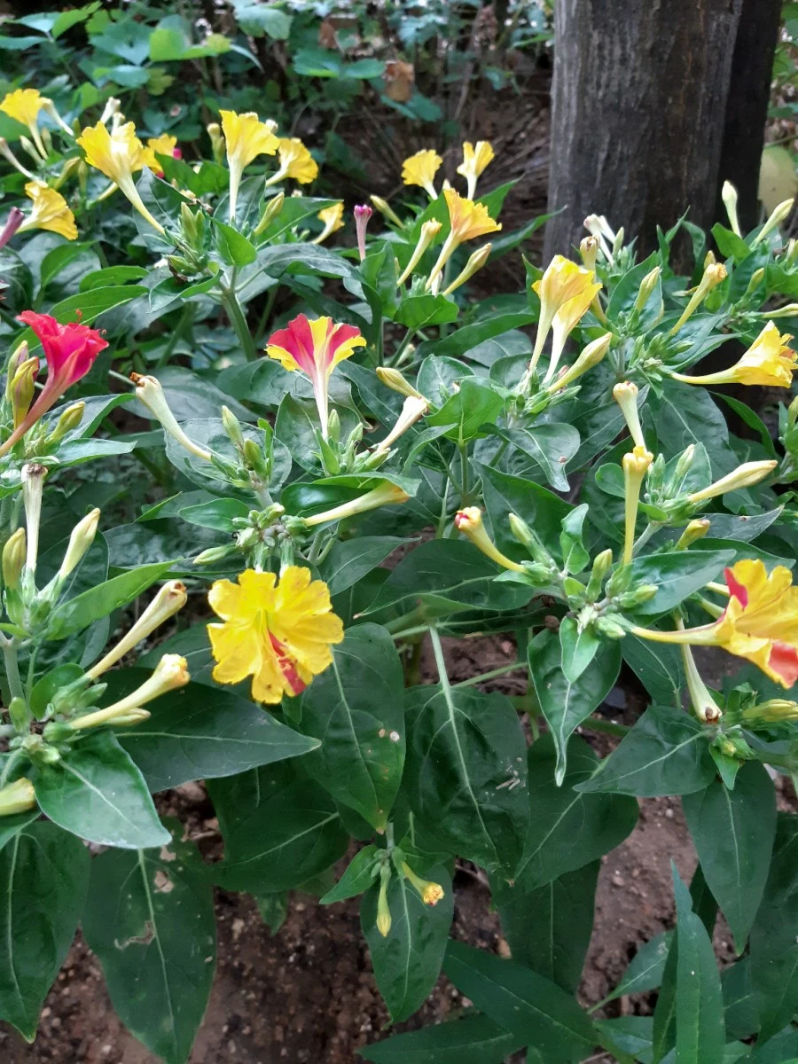 20210811%EF%BC%BF065157.jpg?type=w1