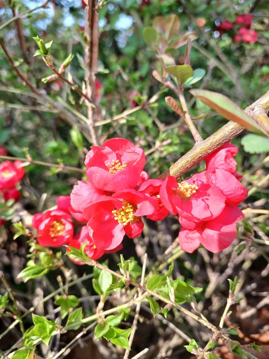 20230331_155242.jpg?type=w1