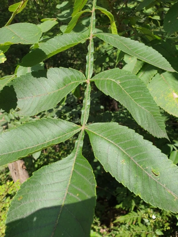 20190826_112453.jpg?type=w1