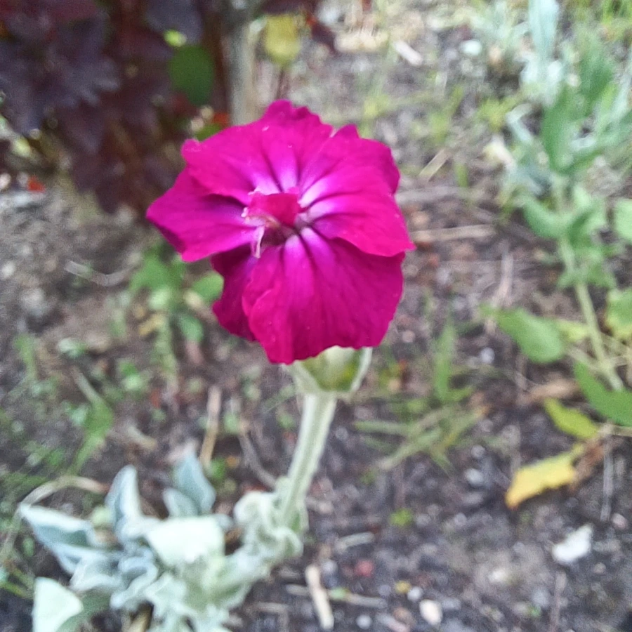 20220527%EF%BC%BF184917.jpg?type=w1