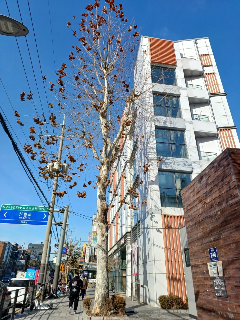 20221216%EF%BC%BF135618.jpg?typew1