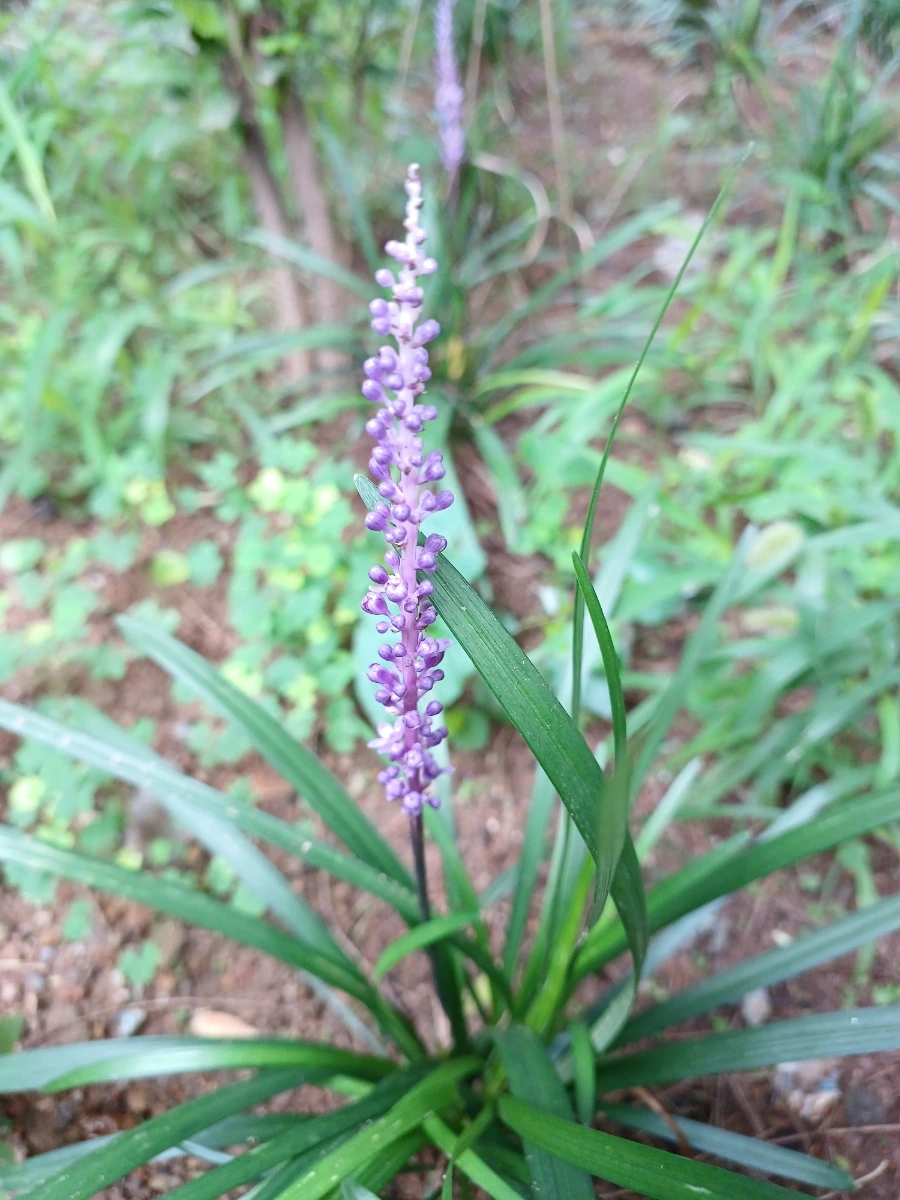 20220724%EF%BC%BF105432.jpg?type=w1