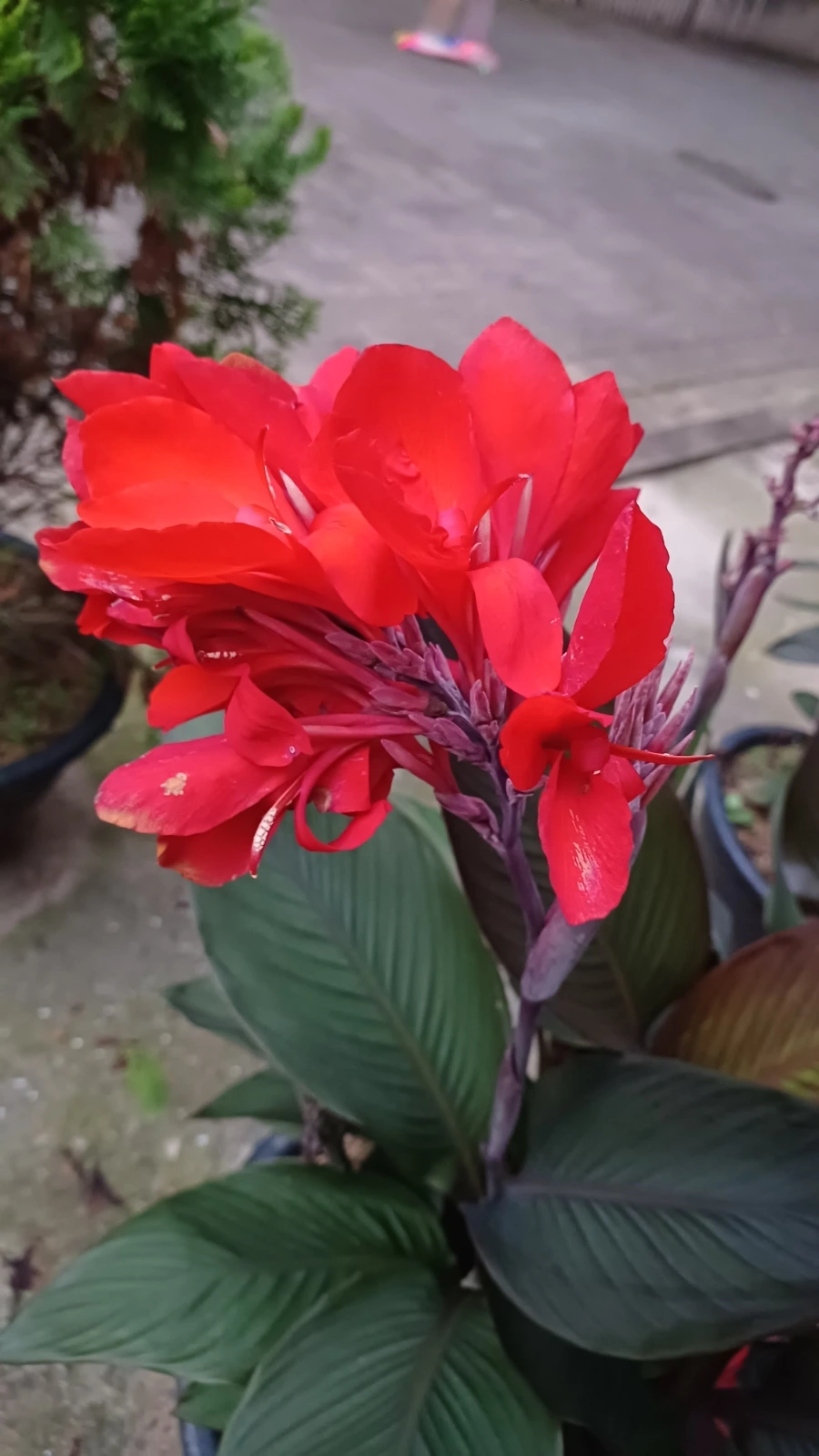 20220817%EF%BC%BF192527.jpg?type=w1